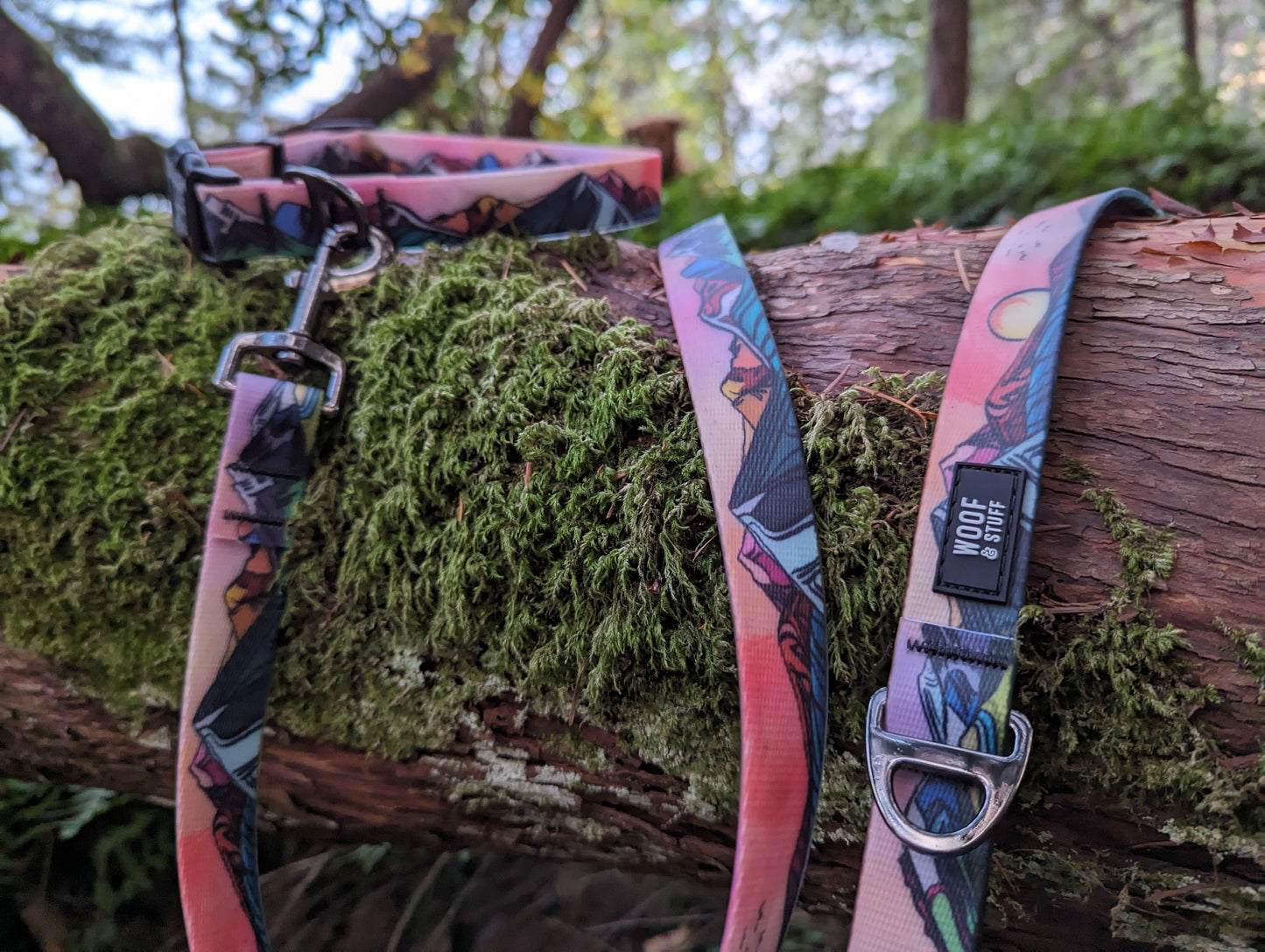 Sunrise Peaks Waterproof Leash: 5ft / 3/4 inch