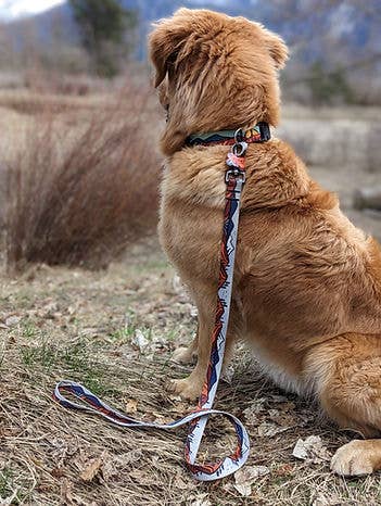 Wanderlust Leash: 5ft / 3/4 Inch