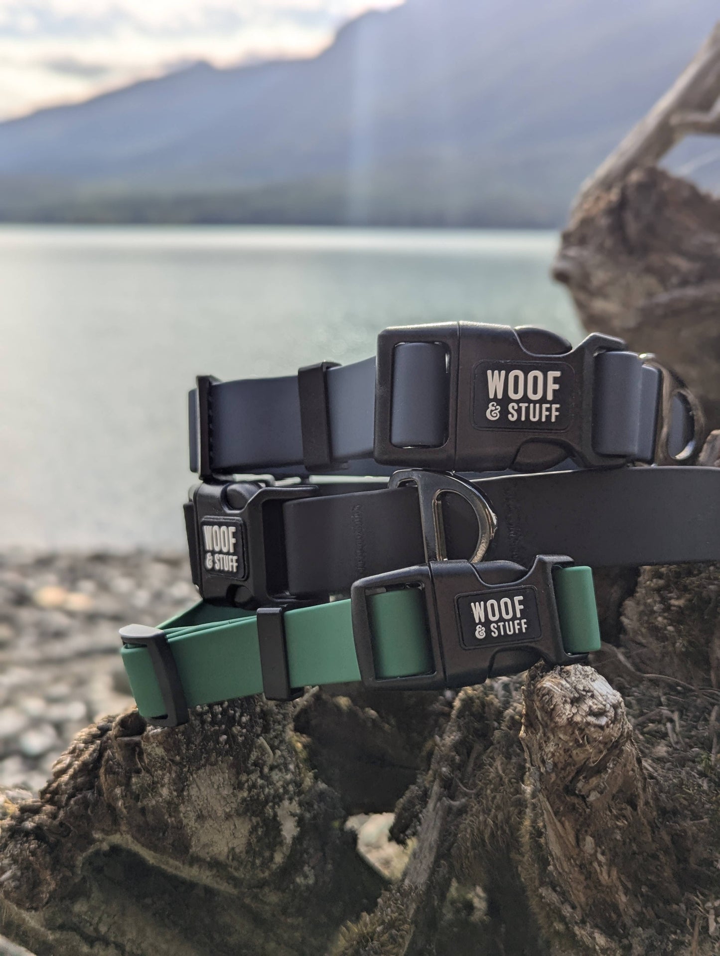 Blueberry Waterproof Collar: Medium / 3/4 Inch