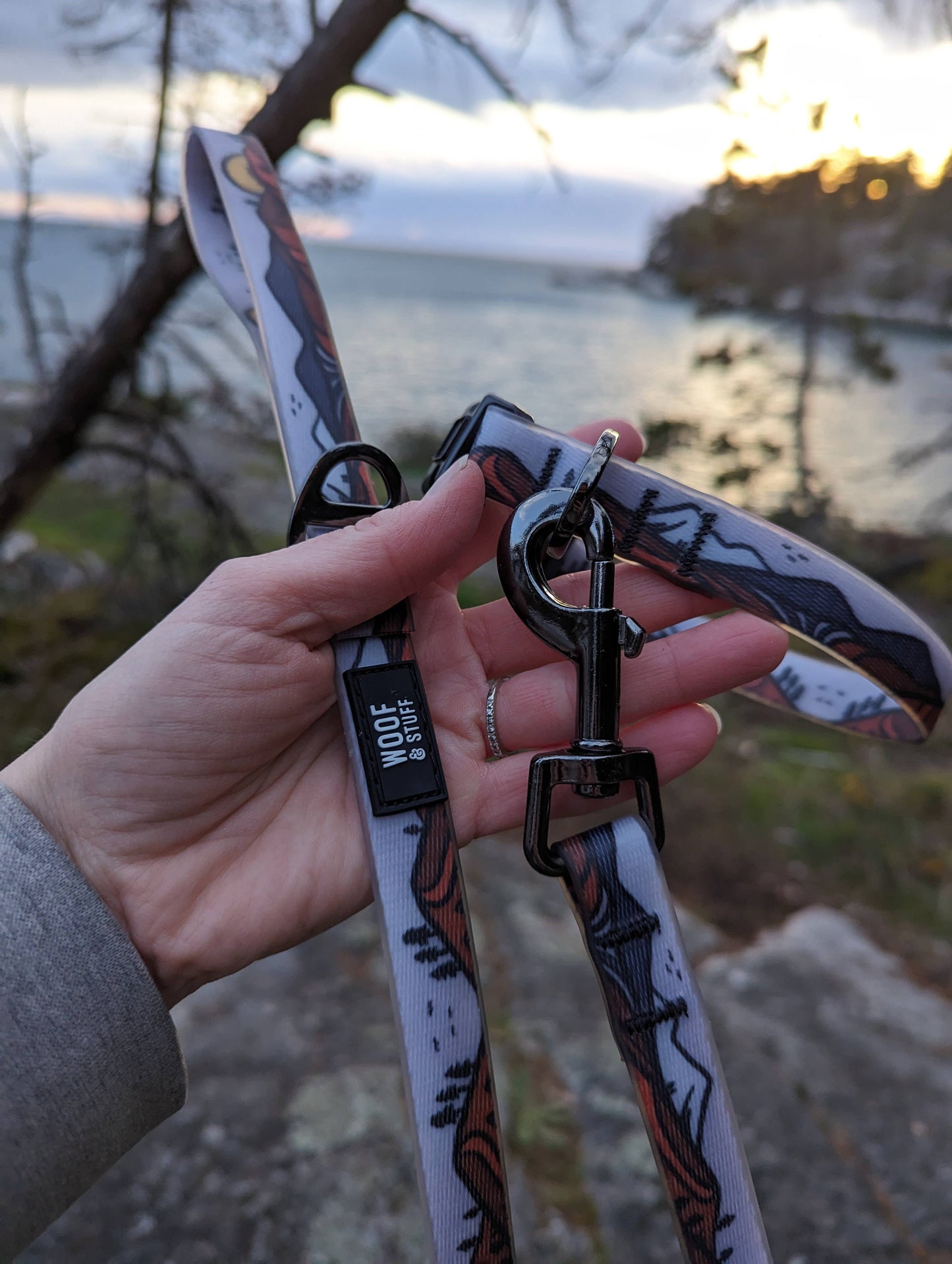 Wanderlust Waterproof Collar: Small / 3/4 Inch