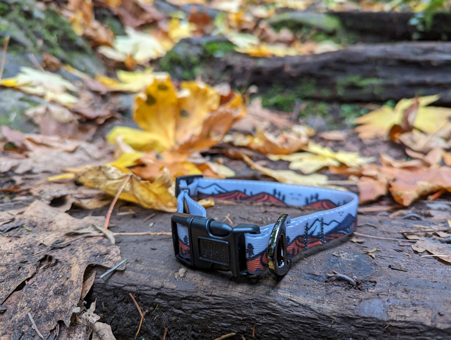 Wanderlust Waterproof Collar: Small / 3/4 Inch