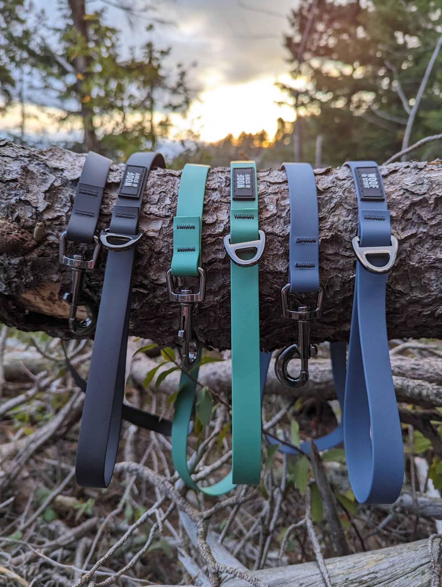 Blueberry Waterproof Leash: 5ft / 3/4 Inch