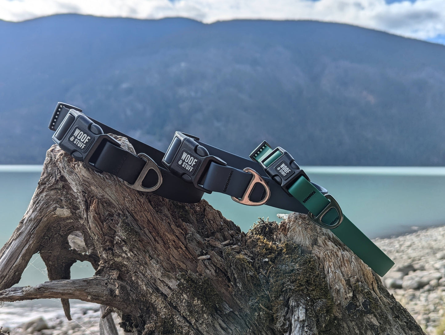 Blueberry Waterproof Collar: Medium / 3/4 Inch