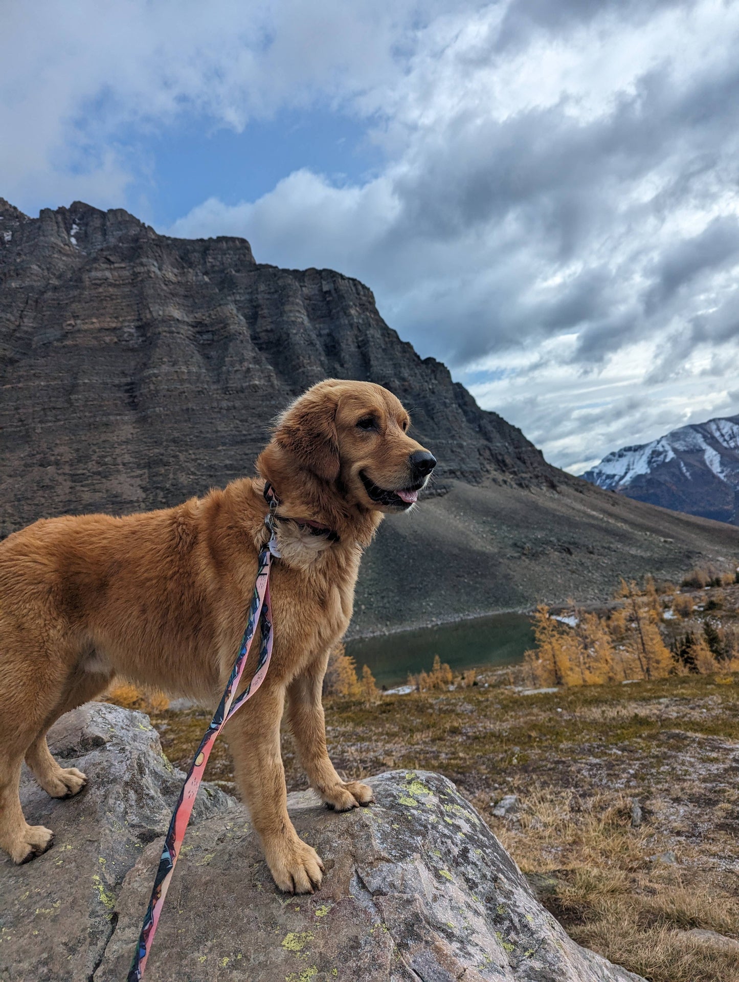 Sunrise Peaks Waterproof Leash: 5ft / 3/4 inch