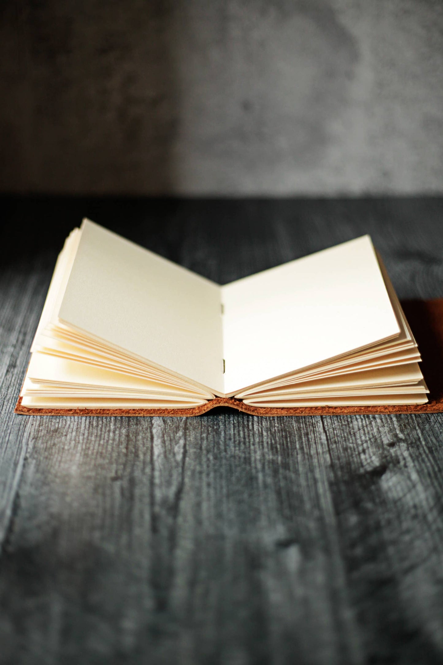 Rustic Leather Journal