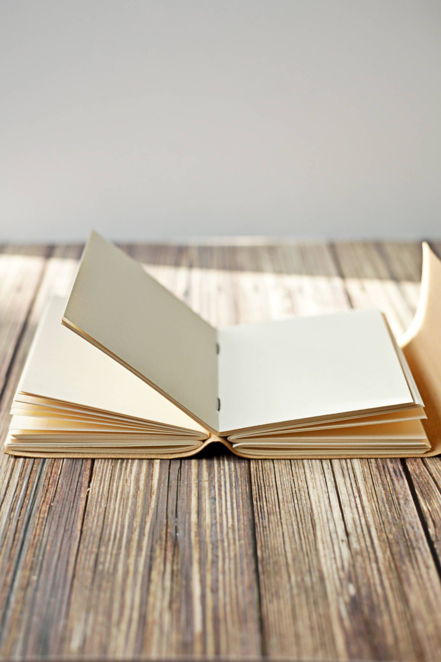 Vegan Leather Journal - Cork