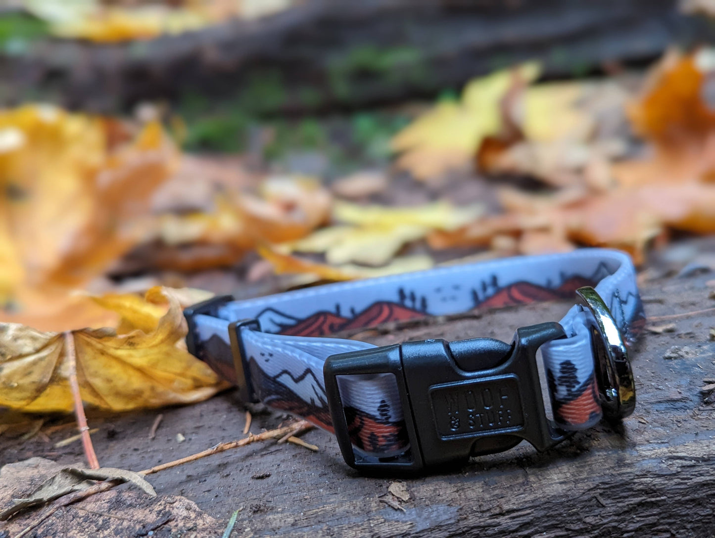 Wanderlust Waterproof Collar: Small / 3/4 Inch