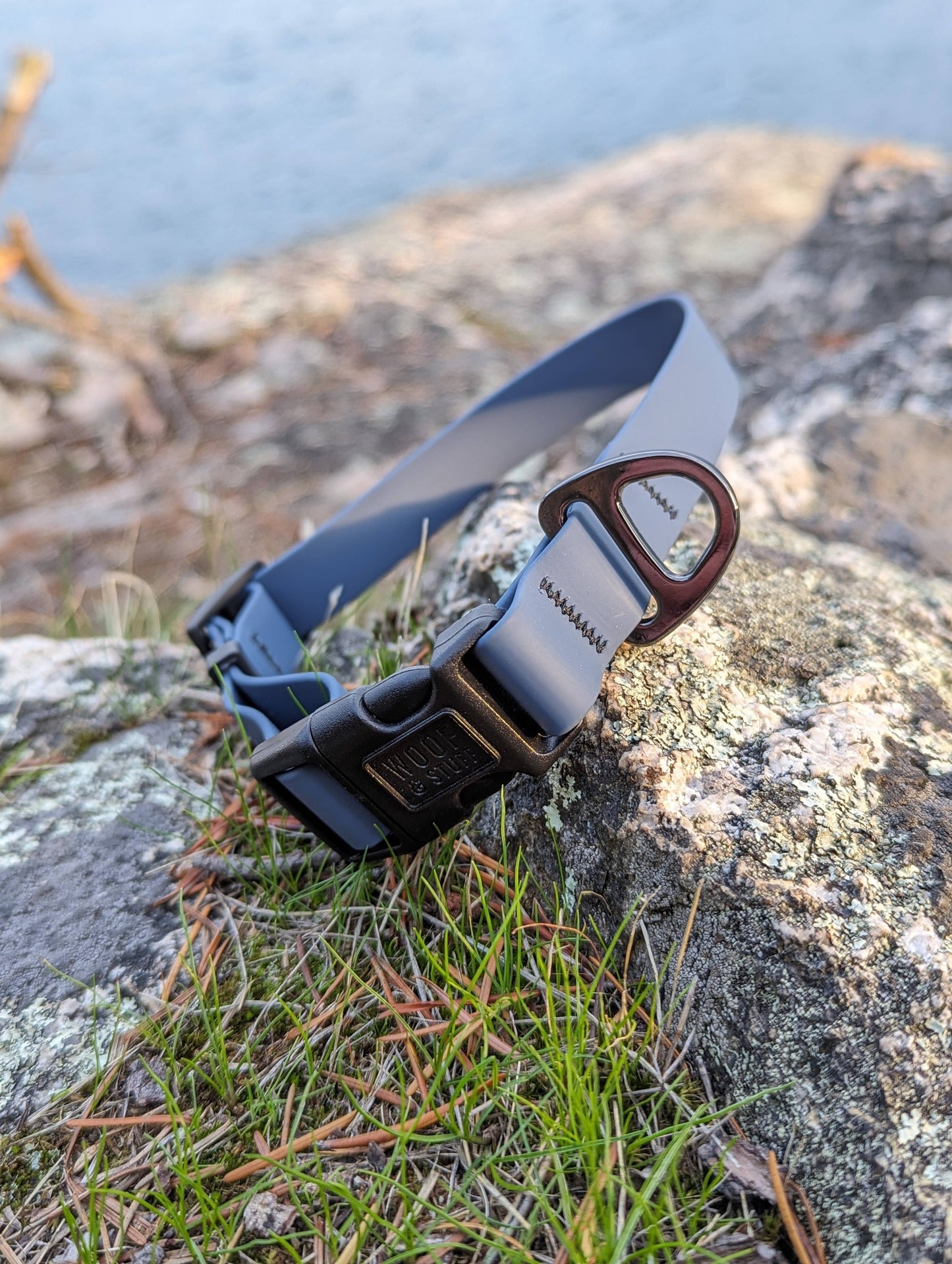 Blueberry Waterproof Collar: Small / 3/4 Inch