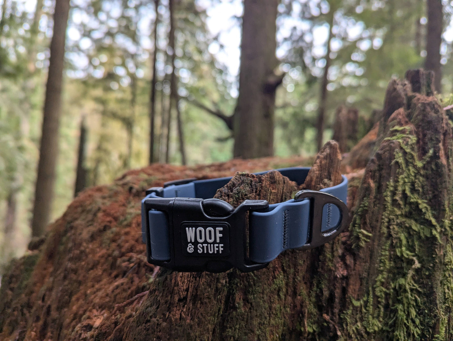 Blueberry Waterproof Collar: Medium / 3/4 Inch