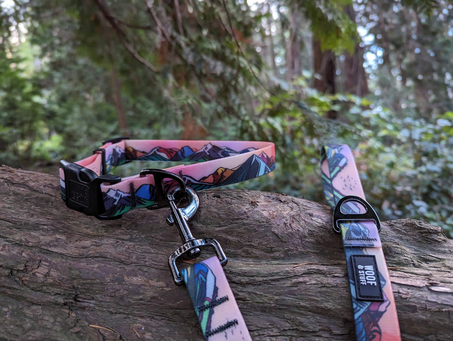 Sunrise Peaks Waterproof Leash: 5ft / 3/4 inch