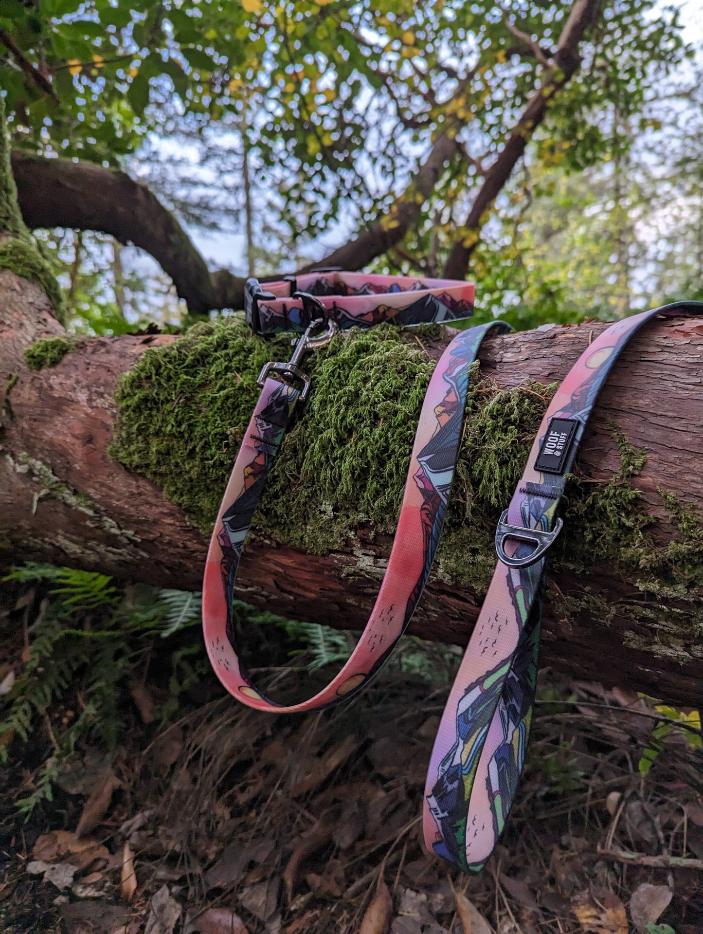 Sunrise Peaks Waterproof Leash: 5ft / 3/4 inch