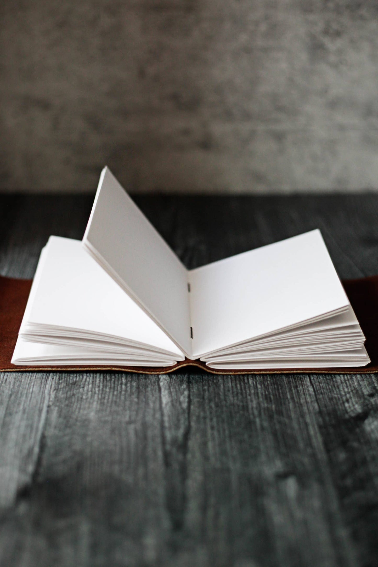Rustic Leather Journal