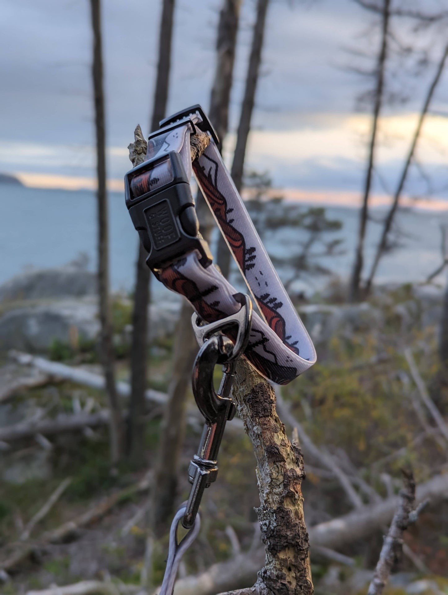 Wanderlust Waterproof Collar: Small / 3/4 Inch