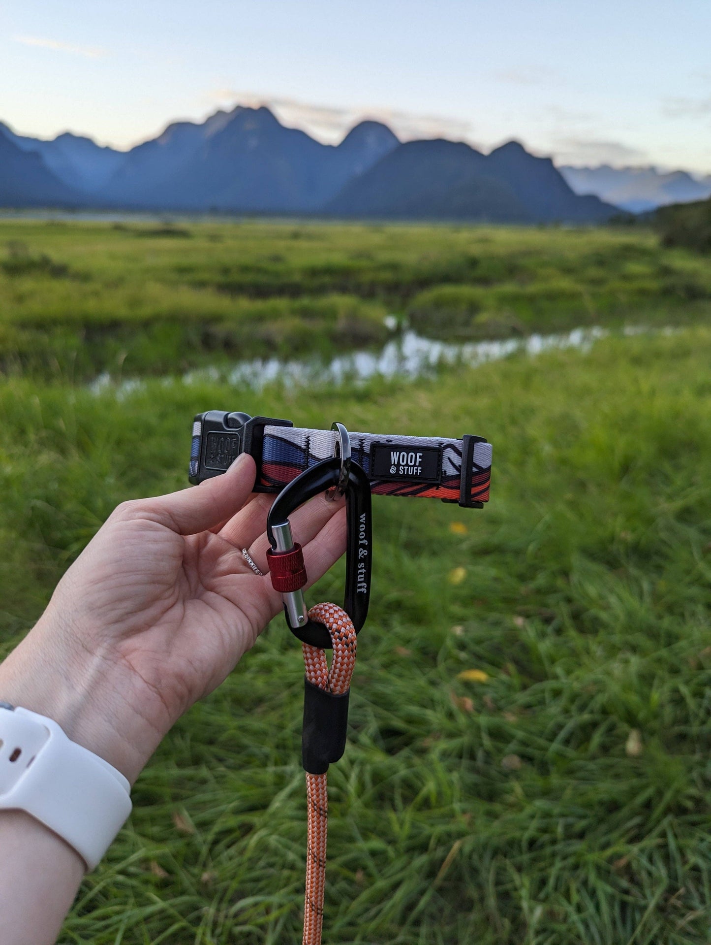 Wanderlust Collar: Small / 3/4 Inch