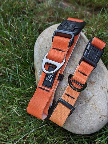 Sunlight Collar: Medium / 3/4 Inch