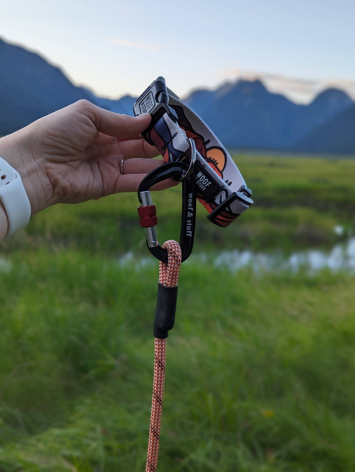 Wanderlust Collar: Small / 3/4 Inch