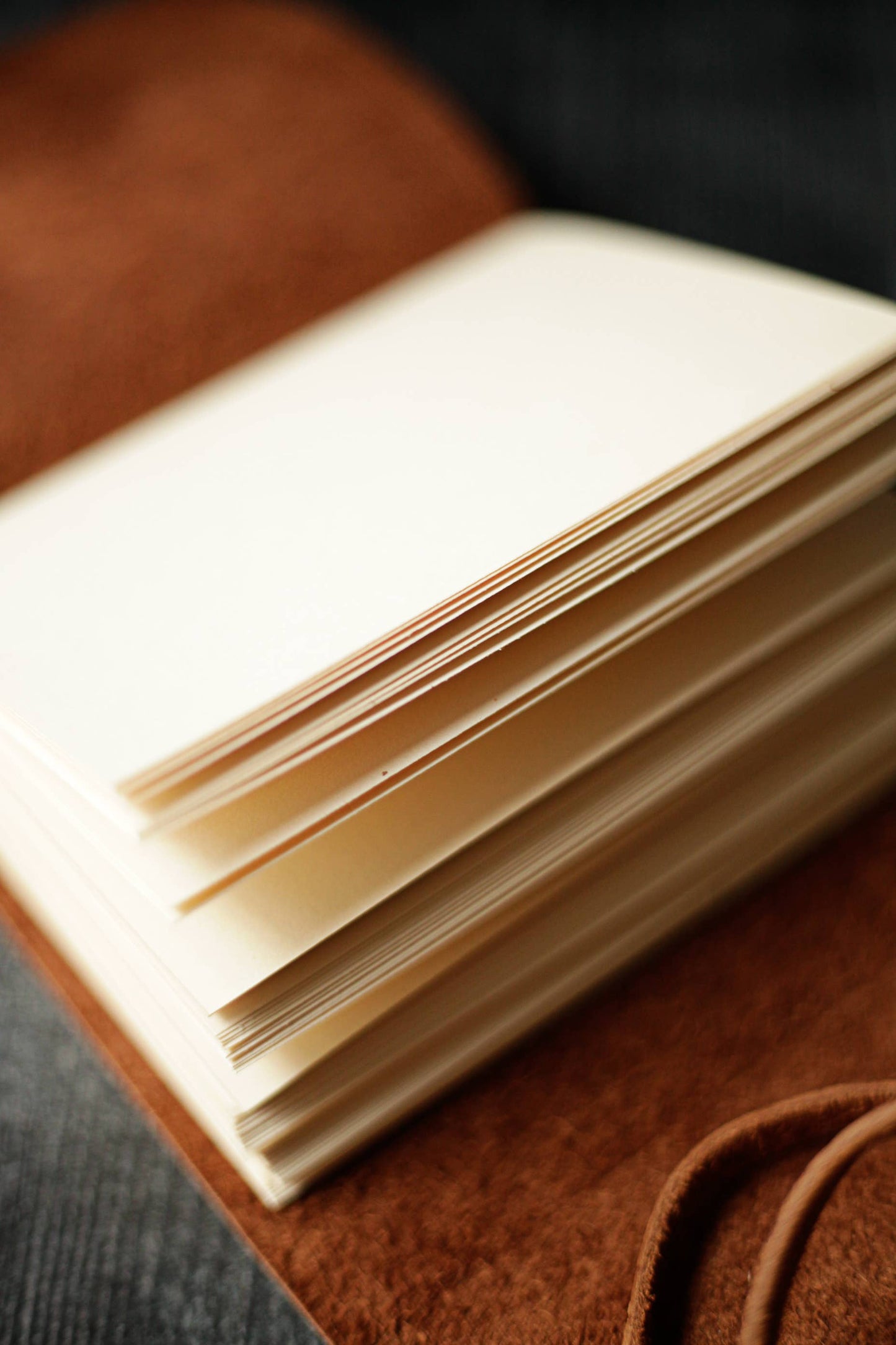 Rustic Leather Journal
