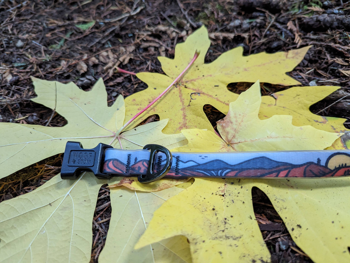 Wanderlust Waterproof Collar: Small / 3/4 Inch