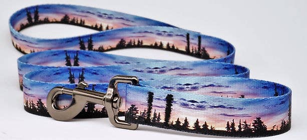 Seymour Sunset Leash: 6ft / 1 Inch