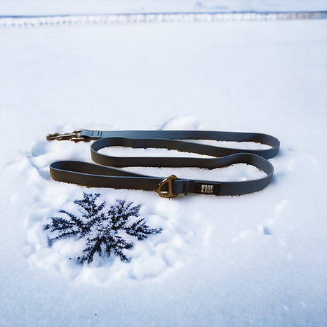 Blueberry Waterproof Leash: 5ft / 3/4 Inch