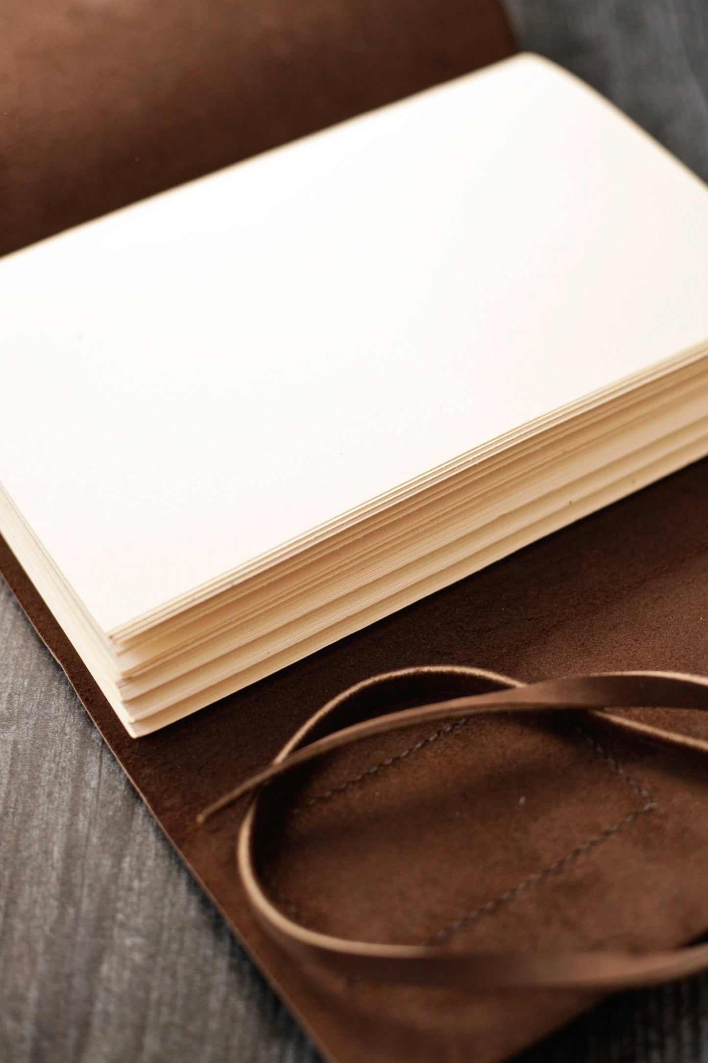 Large Leather Journal with Pine Tree
