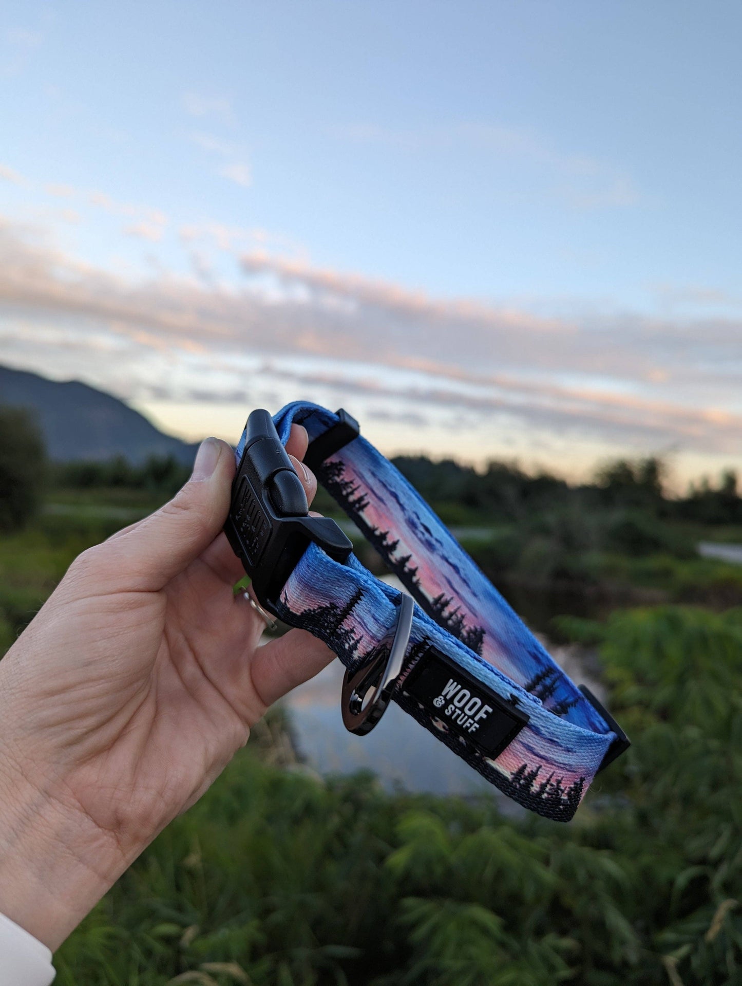 Seymour Sunset Collar: Large / 1 Inch