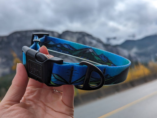 West Coast Waterproof Collar: Medium / 1 Inch