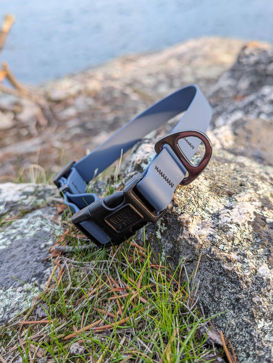 Blueberry Waterproof Collar: Small / 3/4 Inch