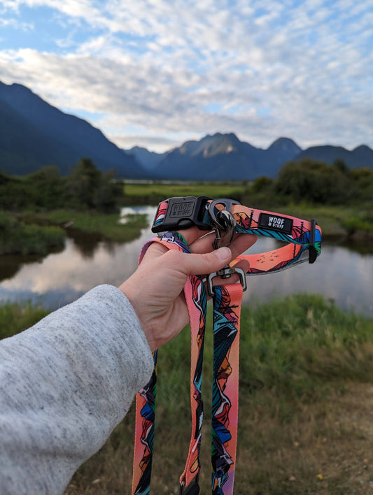 Sunrise Peaks Leash: 5ft / 1 Inch