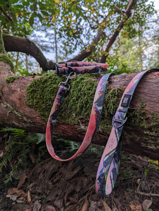 Sunrise Peaks Waterproof Leash: 5ft / 3/4 inch