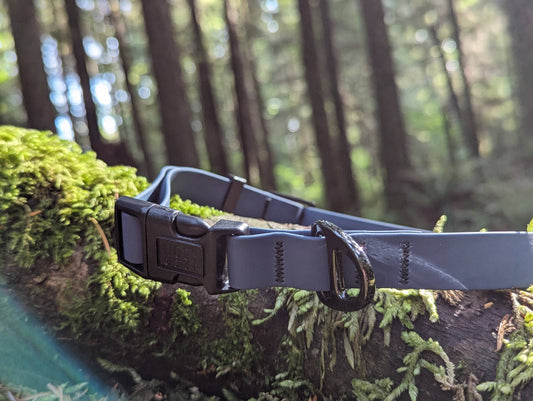 Blueberry Waterproof Collar: Large / 3/4 Inch