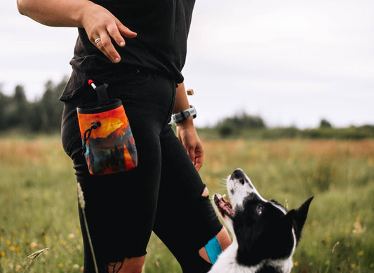 Happy Trails Treat Pouch