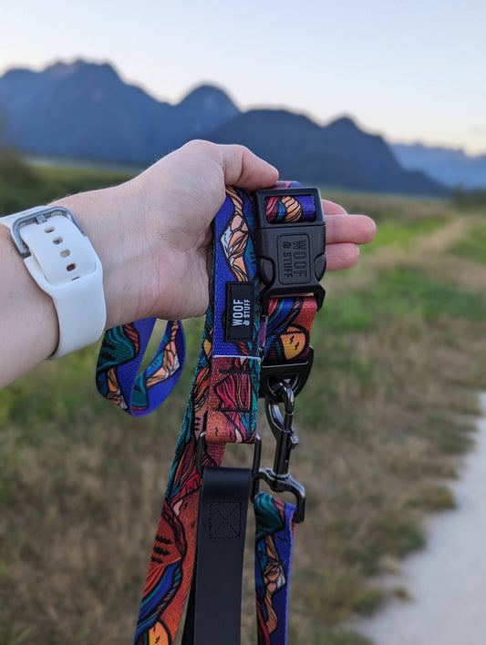 Midnight Sun Leash: 5ft / 1 Inch