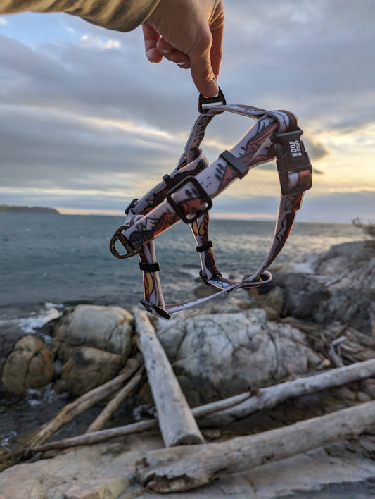 Wanderlust Waterproof Adventure Harness: Small