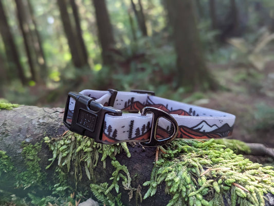Wanderlust Waterproof Collar: Small / 3/4 Inch