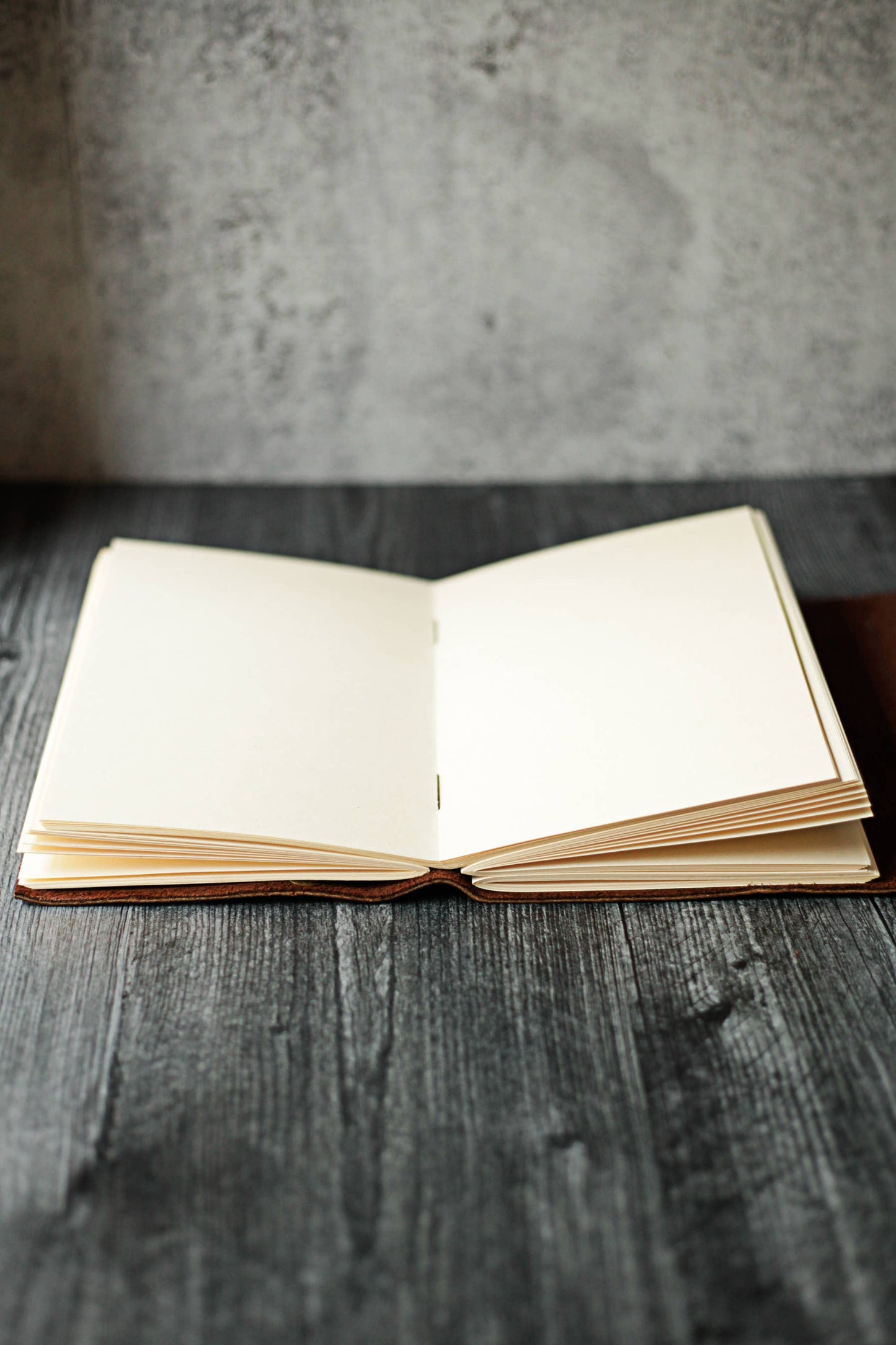 Large Cabin Leather Journal